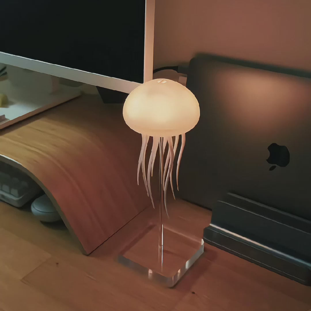 The Signature Lamp