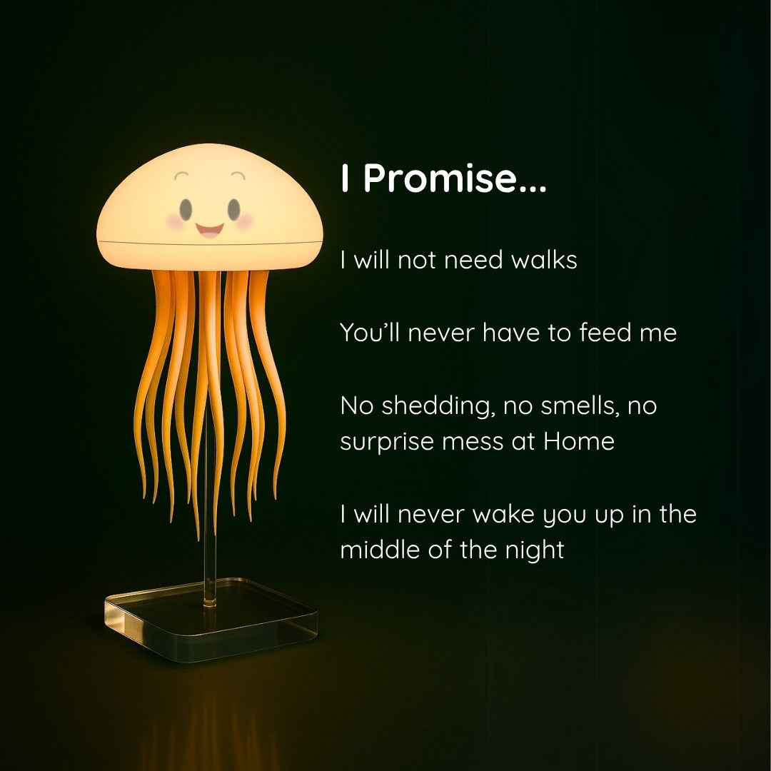The Signature Lamp